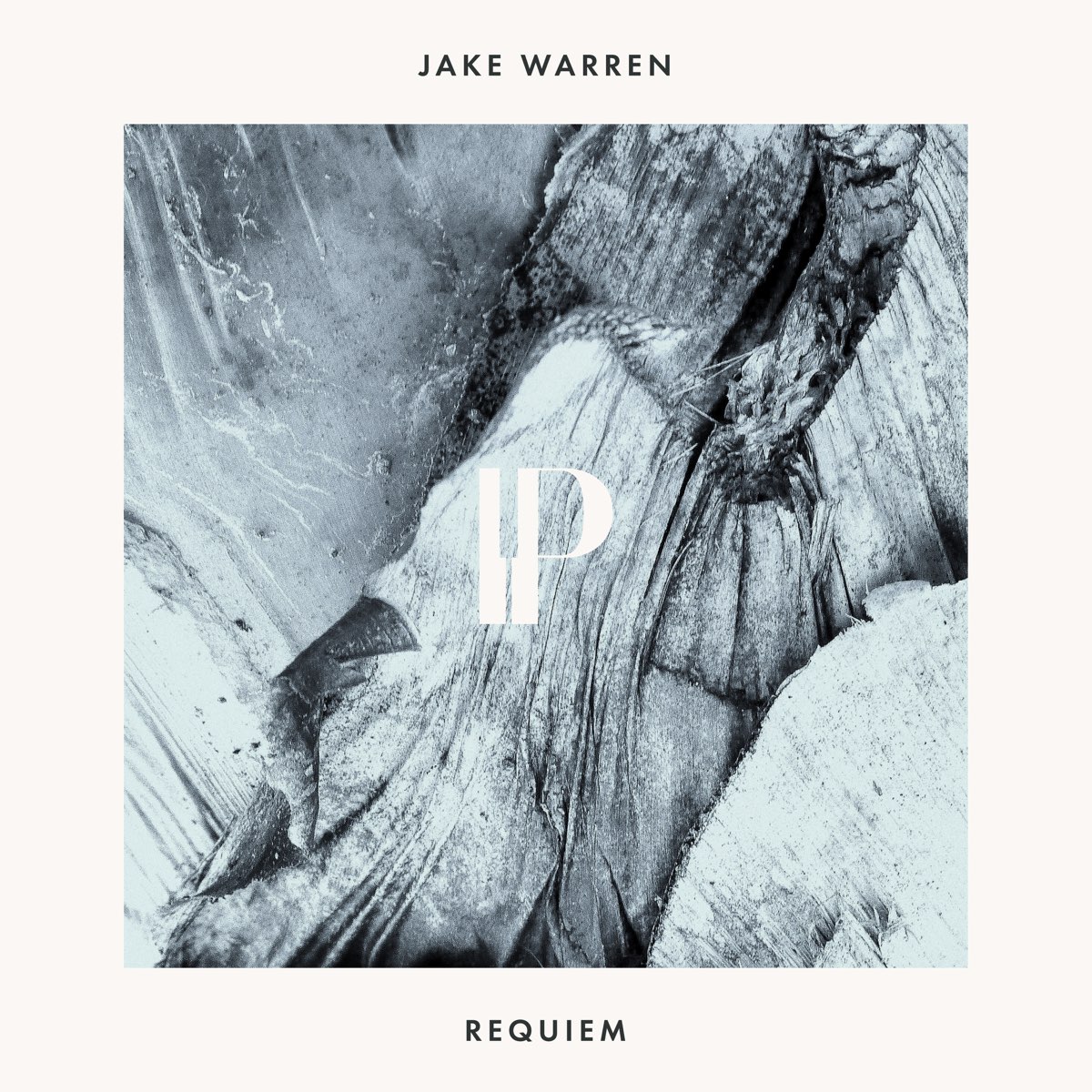 Jake Warren. Jake Warren кто это mp3. White album Requiem. Иностранцы слушают реквием шамана