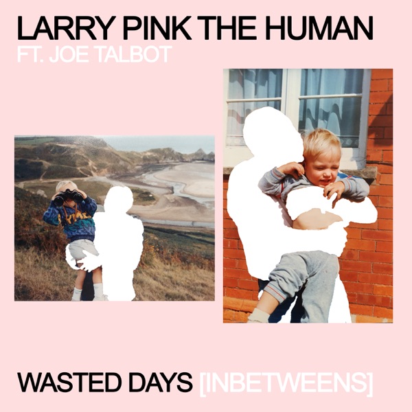 WASTED DAYS (INBETWEENS) [feat. IDLES] - Single - LARRY PINK THE HUMAN