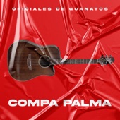 Compa Palma artwork
