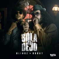 Sola Te Dejó - Single - Blingz & Brray