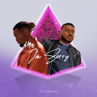 I'm Sorry (feat. Limo) - Single - Alvin Brown Beats