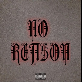 No reason (feat. Aleeka) Rawkeet