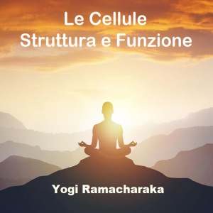 Le Cellule: Struttura e Funzione