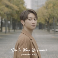 This Is Where We Promise - Single - SHINJIRO ATAE