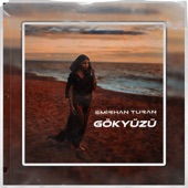 Gökyüzü artwork