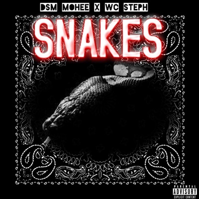 Snakes (feat. DSM Mohee) - Single