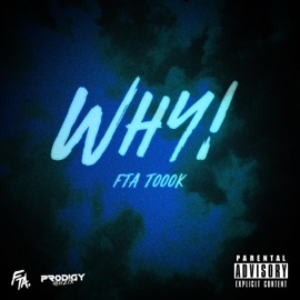 Moving on (feat. Tom Francis) FTA Toook