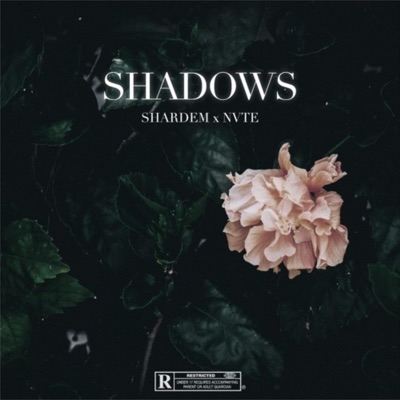 Shadows (feat. NVTE) - Single