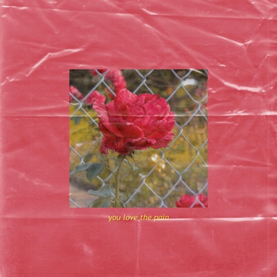 You Love the Pain (feat. Chester Perry) - Single