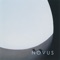 Longhorn - Novus lyrics