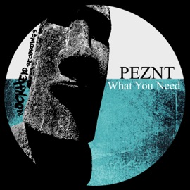 What You Need (Rubber People Remix) PEZNT