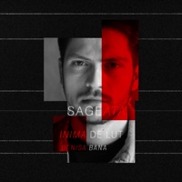 Inima De Lut - Single (feat. Denisa Bana) - Single - Săgeată