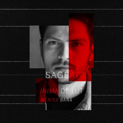 Inima De Lut - Single (feat. Denisa Bana) - Single