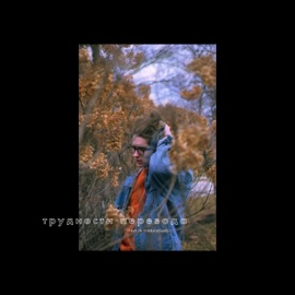 Lost In Translation Knapsack