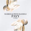 Pavy (feat. Barbs) - Single
