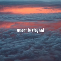 Meant To Stay Hid - Single - M LOHI M