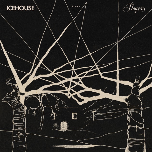 洋楽 ICEHOUSE/Man of Colours Man Of Colours: Amazon.ca: Music