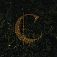 Fireflies - Single - Cygnet