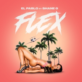 Flex (feat. Shane G) El Pablo