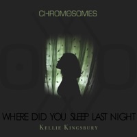 Where Did You Sleep Last Night (feat. Kellie Kingsbury) - Single - Chromosomes
