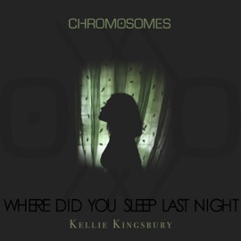 Where Did You Sleep Last Night (feat. Kellie Kingsbury) Chromosomes