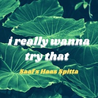 i really wanna try that (feat. Haas Spitta) - Single - Saaf