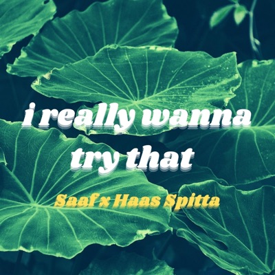 i really wanna try that (feat. Haas Spitta) - Single