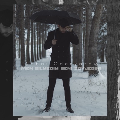 Men Bilmedim Seni Soyjegimi - Single