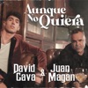 David Cava - Aunque No Quiera