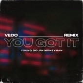 You Got It - Single