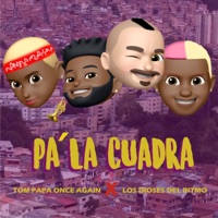Pa' la cuadra (feat. Los Dioses del Ritmo) - Single - Tom Papa Once Again
