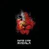 David Lion - Nah Complain