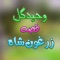 Qessa Zargon Shah, Pt. 5 - Waheed Gul lyrics