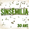 Sinsémilia & Manudigital