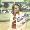El Toba (Live) - Abdel Halim Hafez