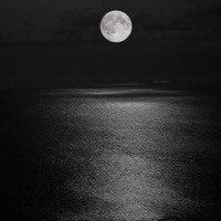 Moonlight - Single - Born Allah