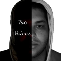Two Voices - Single - Aeromist