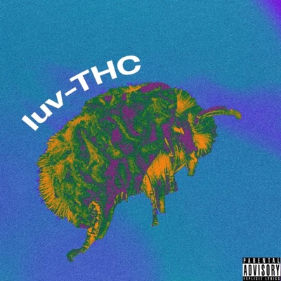 Thc - Single