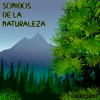 Sonidos de la Naturaleza - Desestresse