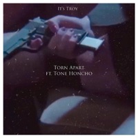 Torn Apart (feat. Tone Honcho) - Single - It's Troy