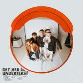 Det Her Det Undertekst artwork