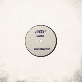 Ecstasy (Morten Granau Remix) ATB