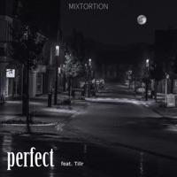 Perfect (feat. Tillr) - Single - Mixtortion