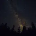 Waiting in the Dark