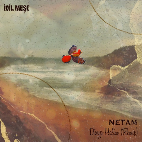 Dünya Halim (Remix) - Single - İdil Meşe & Netam