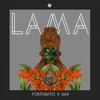 Lama - Random Collective Records - Single