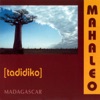 Tadidiko (Madagascar), 1997