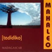 Tadidiko (Madagascar) artwork