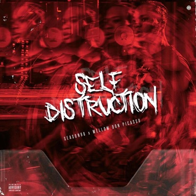 Self Distruction (feat. Mellow Don Picasso) - Single