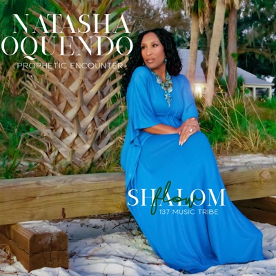 Shalom Flow (feat. Natasha Oquendo) - Single